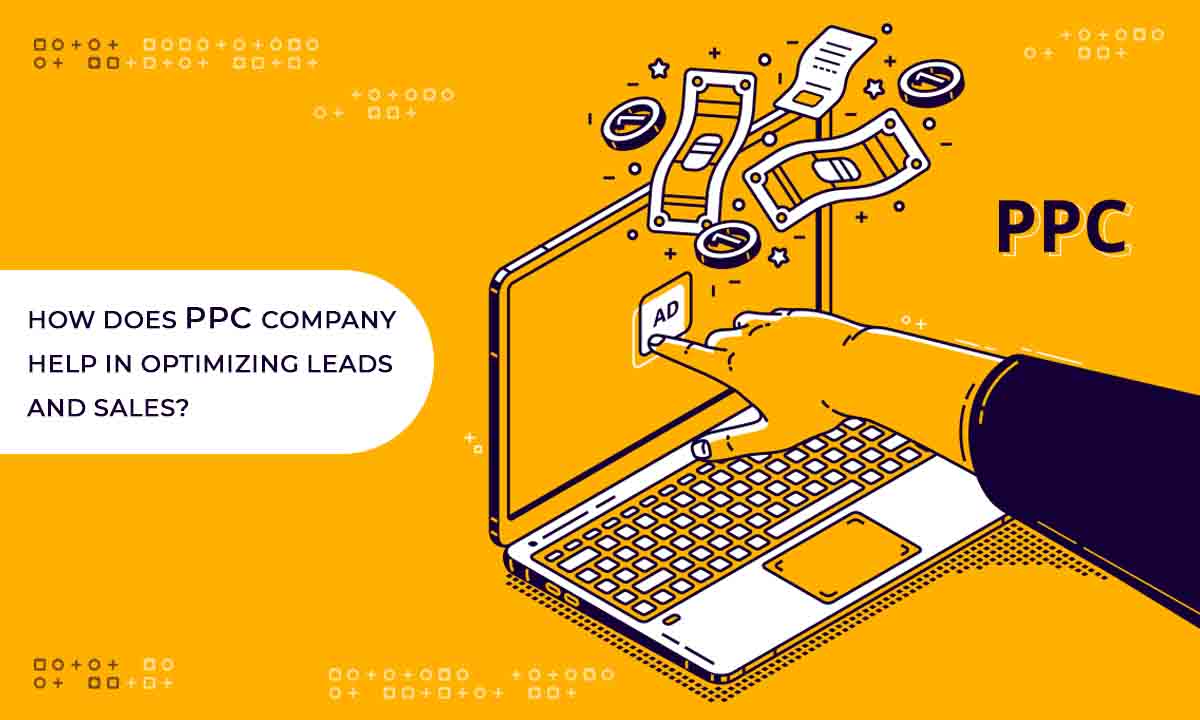 social media marketing company in delhi, digital marketing company in noida, website development company in noida, content writer service in noida, content writter agency in delhi, content writer service in noida, Website development company in noida, website devleopment company in india, wordpress development company in india