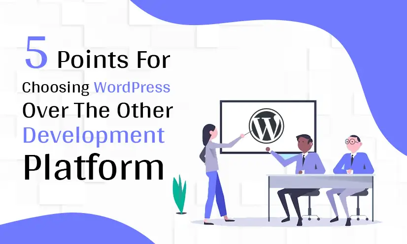 WordPress Development