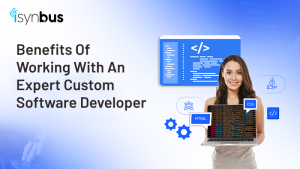 Benefits of Working with an Expert Custom Software Developer